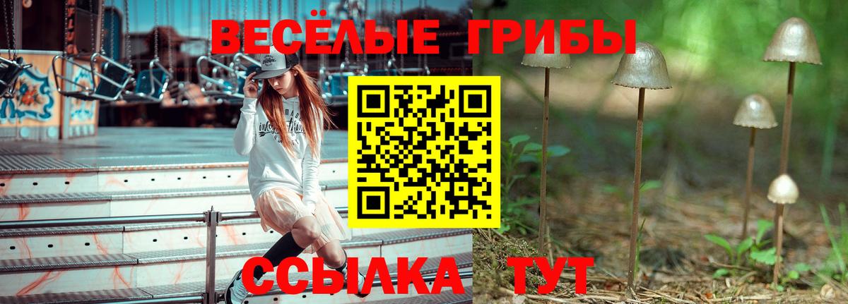 Псилоцибиновые грибы мицелий Ессентуки