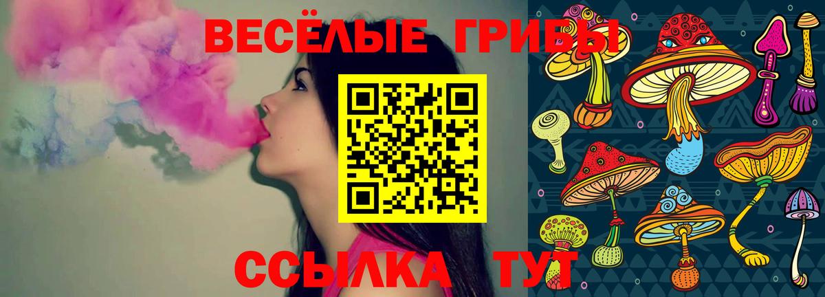 Ессентуки  Галлюциногенные грибы MAGIC MUSHROOMS  Вход с VPN  Галлюциногенные грибы ЛСД 