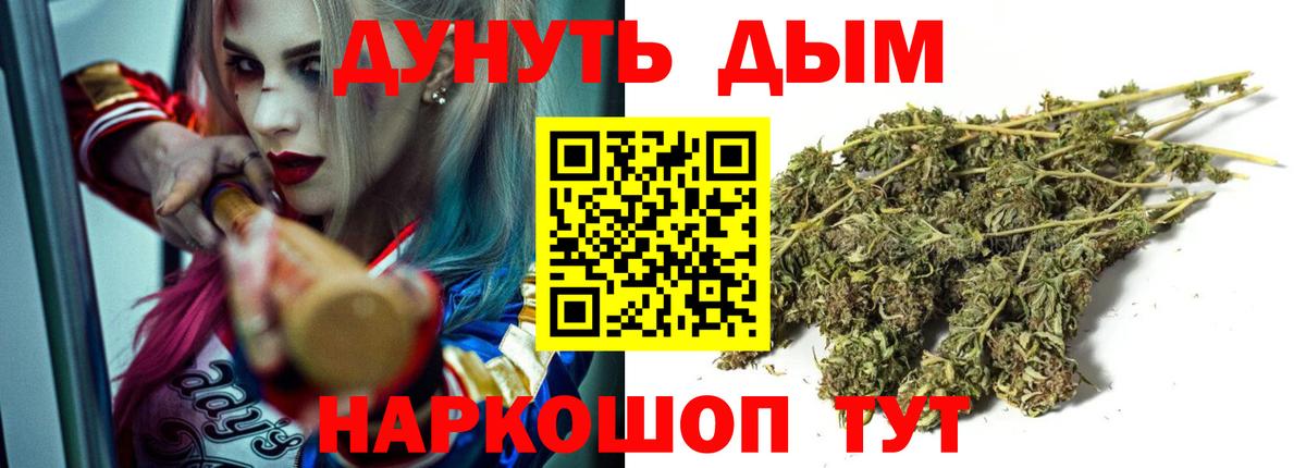 Бошки Шишки планчик Ессентуки